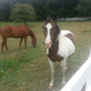 Meet your Posher, Gene